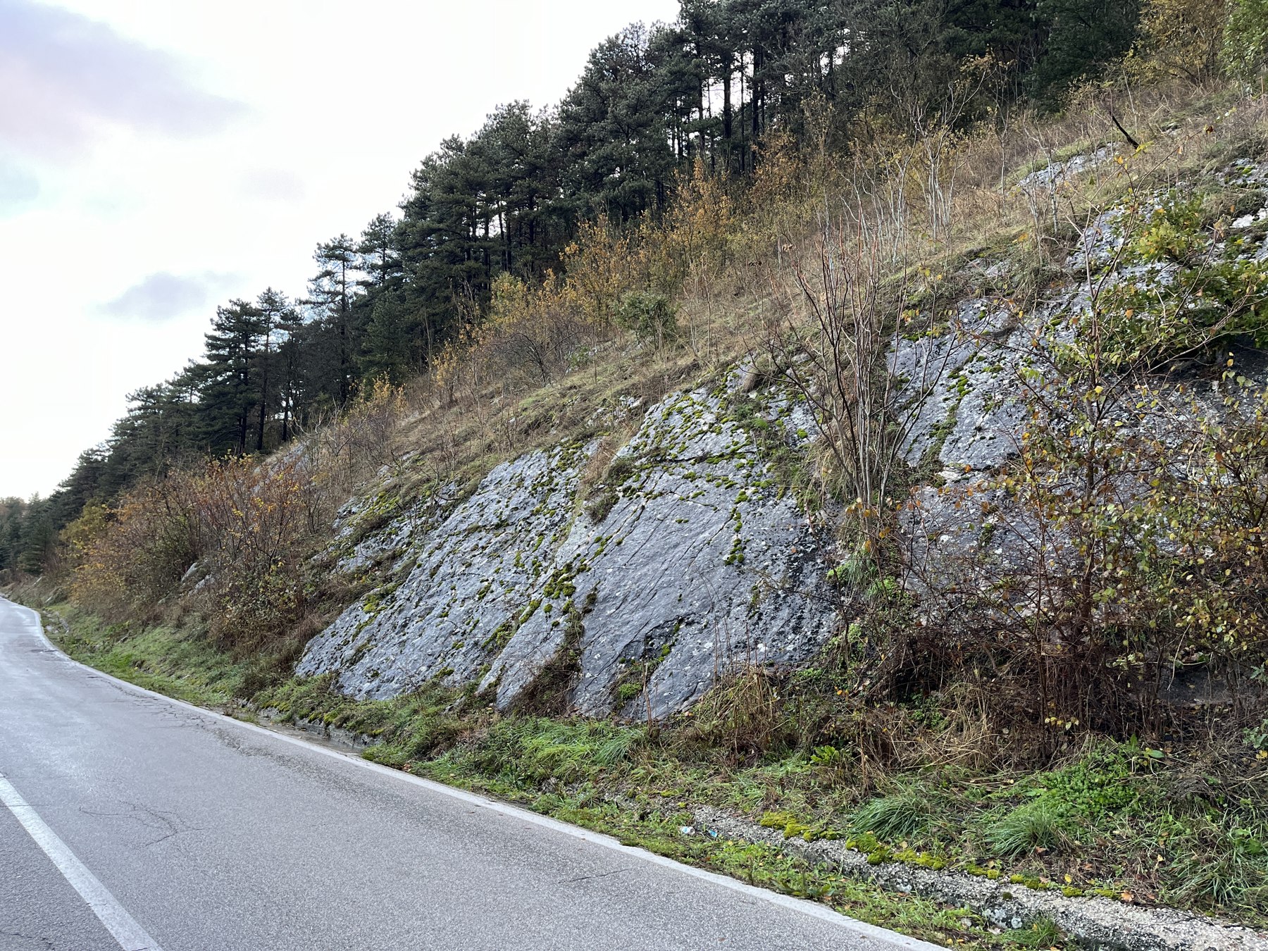 Attività dello Studio di Geologia
