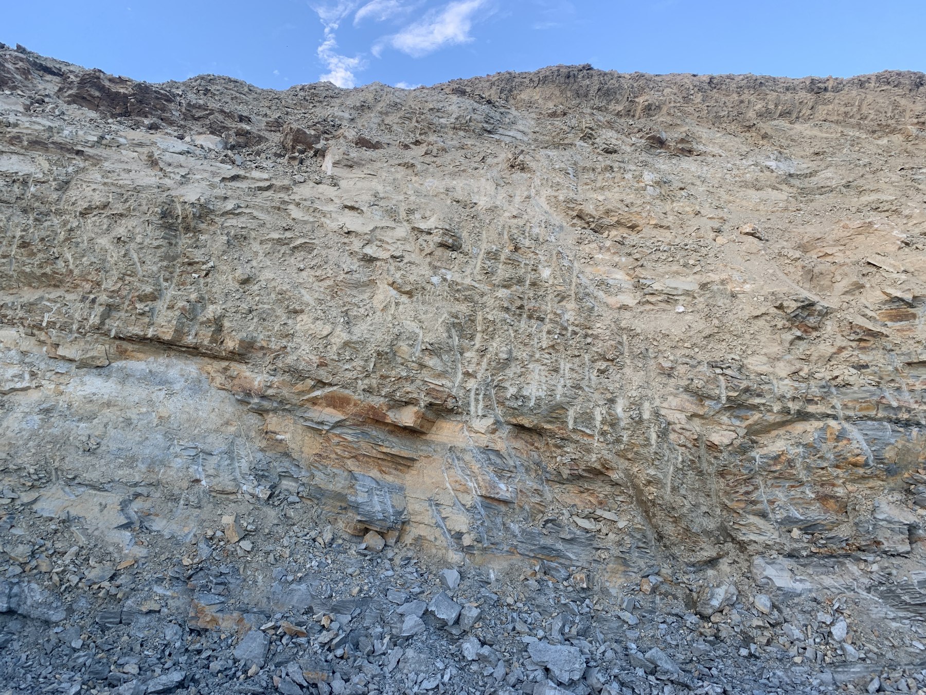 Attività dello Studio di Geologia